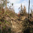 Laying out the loop track 4. Cambridge Tree Trust